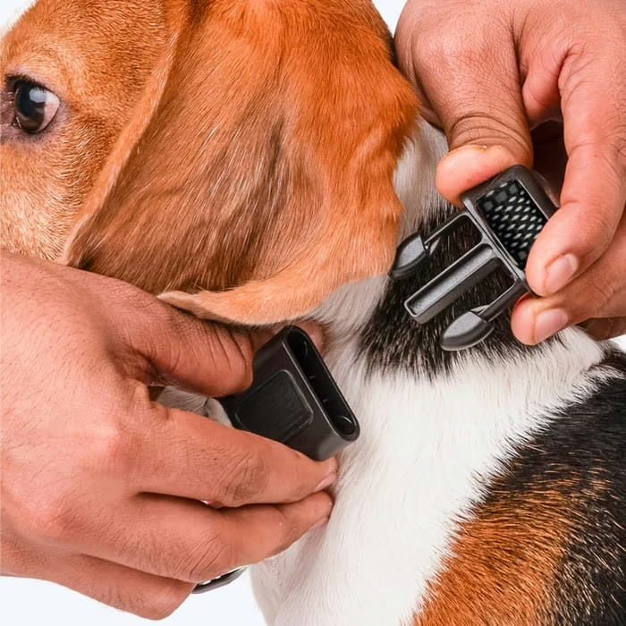 Put the NooBark collar on your dog